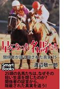 星になった名馬たち 関係者が語る隠された真実25(スマートブックス)