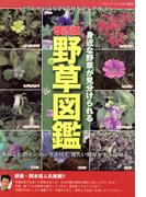 改訂版　野草図鑑(ブティック・ムック)