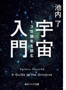 宇宙入門　138億年を読む(角川ソフィア文庫)