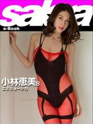 エミリョーシカ　小林恵美8 [sabra net e-Book](sabra net)