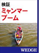 検証 ミャンマーブーム(WEDGEセレクション)