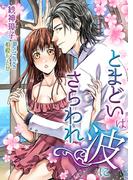 とまどいは波にさらわれ(TL ボンボンショコラ文庫)