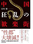 中国　狂乱の「歓楽街」(中経出版)