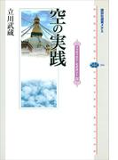 空の実践　ブッディスト・セオロジーIV(講談社選書メチエ)
