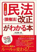 スピード解説　民法〈債権法〉改正がわかる本
