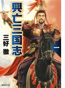 【全1-5セット】興亡三国志(集英社文庫)