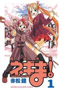 【全1-38セット】魔法先生ネギま！