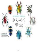 きらめく甲虫(幻冬舎単行本)