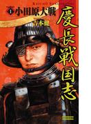 【全1-3セット】慶長戦国志(歴史群像新書)