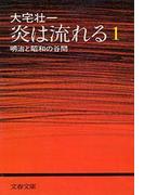 【全1-4セット】炎は流れる(文春文庫)