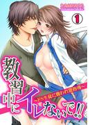 【1-5セット】教習中にイレないで!!～ドＳ生徒に襲われ逆指導～(TL★オトメチカ)