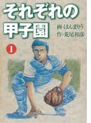【全1-3セット】それぞれの甲子園