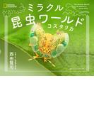 ミラクル昆虫ワールド　コスタリカ