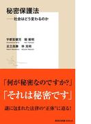 秘密保護法――社会はどう変わるのか(集英社新書)