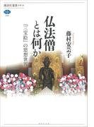 仏法僧とは何か　『三宝絵』の思想世界(講談社選書メチエ)