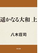 【全1-2セット】遥かなる大和(角川文庫)