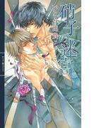 硝子の迷宮(リンクスロマンス)