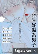 Qpa vol.35  妊娠系男子　愛があれば大丈夫！(Qpa)