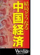 結局どうなる 中国経済 （Wedgeセレクション No.48）(WEDGEセレクション)