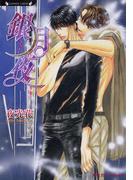 銀月夜(ラヴァーズ文庫)