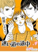 迷い道の途中【特別付録付】
