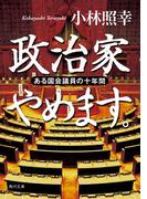 政治家やめます。　ある国会議員の十年間(角川文庫)