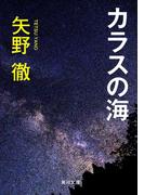 カラスの海(角川文庫)
