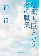 総理大臣という名の職業(角川文庫)