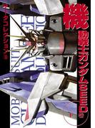 電撃データコレクション(18)　機動戦士ガンダムSEED 下巻(DENGEKI HOBBY BOOKS)