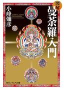 図解 曼荼羅入門(角川ソフィア文庫)