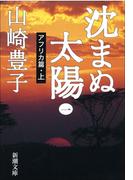 【全1-5セット】沈まぬ太陽