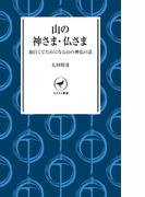 ヤマケイ新書　山の神さま・仏さま(ヤマケイ新書)