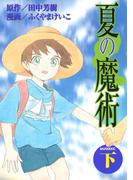 夏の魔術（下）
