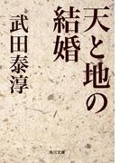 天と地の結婚(角川文庫)