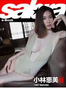 red leaves 小林恵美COVER DX [sabra net e-Book](sabra net)