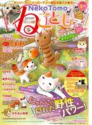 ねこともvol.42