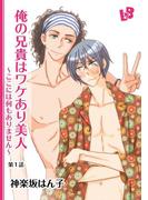 【全1-4セット】俺の兄貴はワケあり美人(LOVE xxx BOYS)