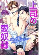 上司の愛奴隷　～怜悧な秘書はドS専務に溺愛される～(BLスイートノベル)