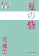 P+D BOOKS 夏の砦(P+D BOOKS)