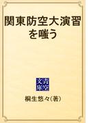 関東防空大演習を嗤う(青空文庫)
