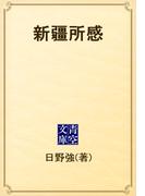 新疆所感(青空文庫)