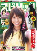 週刊ビッグコミックスピリッツ 2016年25号