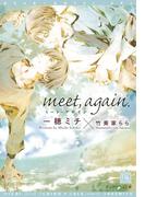 meet, again.(新書館ディアプラス文庫)