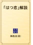「はつ恋」解説(青空文庫)