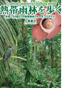 熱帯雨林を歩く