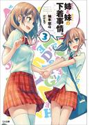 姉（かのじょ）と妹（カノジョ）の下着事情。３(GA文庫)