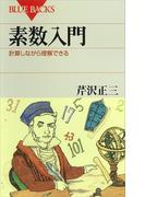 素数入門 計算しながら理解できる(ブルー・バックス)