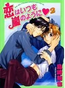 恋はいつも嵐のように2(BL宣言)