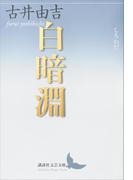 白暗淵(講談社文芸文庫)