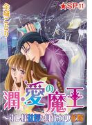 潤・愛の魔王～オレ様社長と身代わり花嫁★SP 11巻(恋愛ポップ)